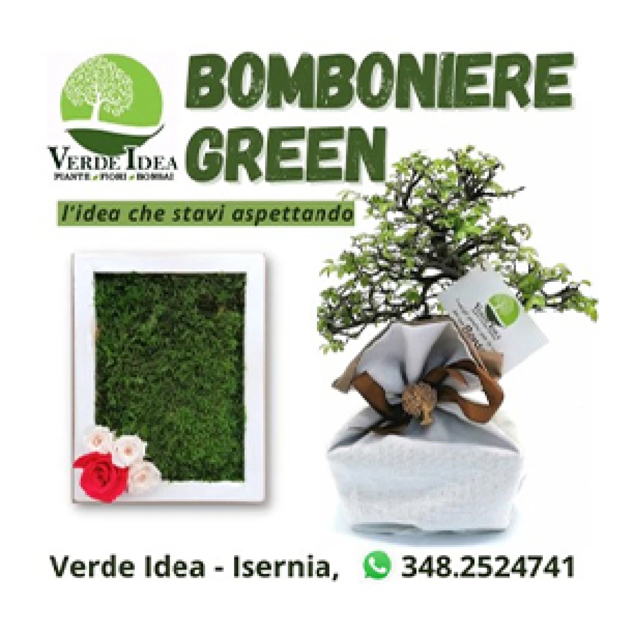Banner Verde Idea bomboniere Green